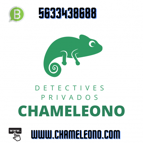 Black and White Private Detective Logo (1)